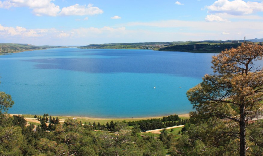 თბილისის ზღვაზე პარკის მოწყობა იგეგმება - სავარაუდო ღირებულება 865 ათასი ლარია