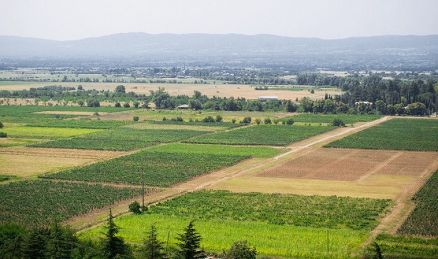 20-წლიანი წყვეტის შემდეგ საქართველოში მიწის რესურსების მონაცემთა ბაზა შეიქმნა