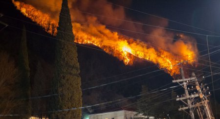 გაგრაში ცეცხლი საცხოვრებელი სახლებიდან 150 მეტრშია - ფოტოები