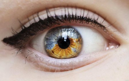 რას ამბობს თქვენი თვალის ფერი თქვენი ჯანმრთელობის შესახებ