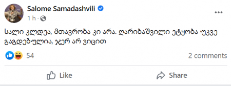 "ღარიბაშვილი ეტყობა უკვე გაგდებულია" - სალომე სამადაშვილი