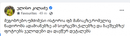 "უმძიმესი ისტორია ფბ მანიაკზე, რომელიც ნადირობს ადამიანებზე ამ სივრცეში, ქალებსა და ბავშვებზე!.." - რა ინფორმაციას ავრცელებს ელისო კილაძე?