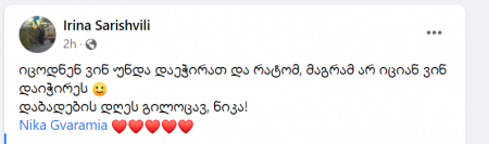 "იცოდნენ ვინ უნდა დაეჭირათ და რატომ, მაგრამ არ იციან ვინ დაიჭირეს" - ირინა სარიშვილი გვარამიას