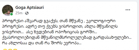"პროგრესი აშკარად გვაქვს, თან მწვანე. ადრე თუ ქვებს ვისროდით, ახლა მწვანილს ვისვრით...  ასე ხვდებიან ოპოზიციას გორში... რა ახლოსაა და თან რა შორს ევროპა..."- გოგა აფციაური
